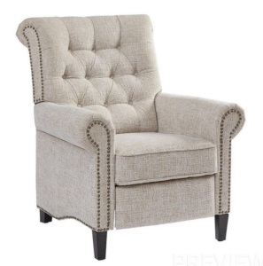 Madison Park Aidan Recliner Chair